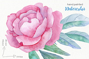 Watercolor Flowers Bundle, an Illustration by OllyKo Art (Thumbnail 15 of 15)