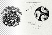 Snake Illustration Set, an Animal Illustration by DENIDigitalArtSudio (Thumbnail 8 of 8)