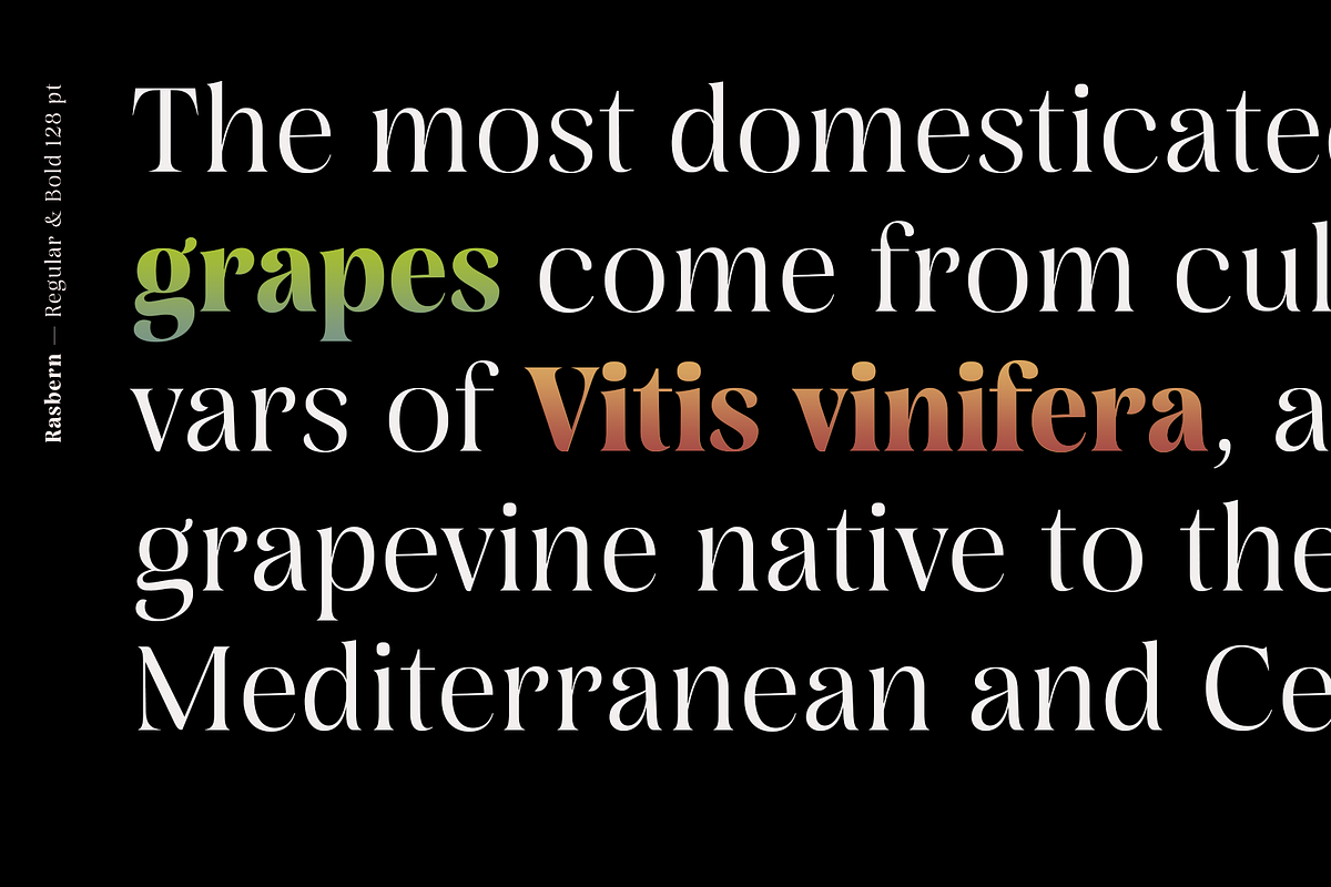 Rasbern — 18 Fonts, a Serif Font by Nasir Udin (Photo 6 of 17)