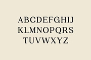 Retroversion Retro Serif Font, a Serif Font by UICreative (Thumbnail 6 of 14)