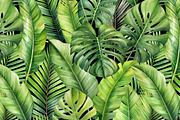 Tropical leaves patterns and element, a Decorative Illustration by irina.vaneeva (Thumbnail 5 of 11)