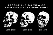 SKULLS, an Illustration by 1126artstudio (Thumbnail 3 of 4)