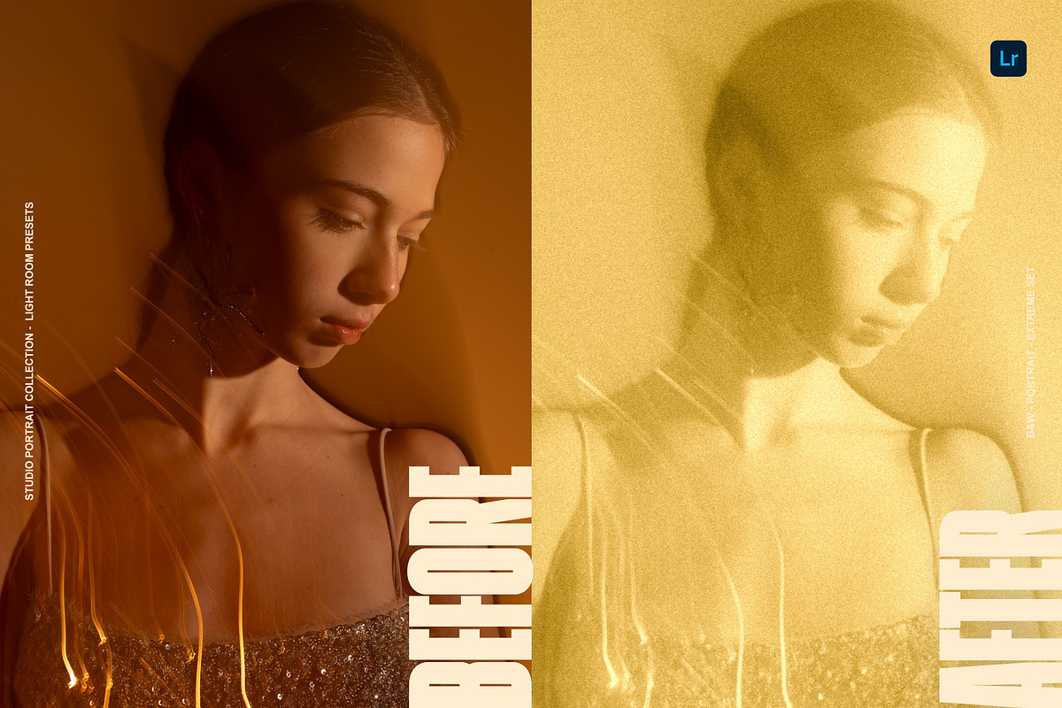 Alternative Photography LR Presets, a Preset Add-On by Lumière Noire Studio (Photo 2 of 6)