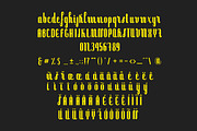 Palmarola Serif, a Serif Font by Lhotse (Thumbnail 6 of 7)