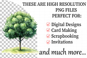 Green Trees and Leaves Clipart, an Illustration by Daily.Designs (Thumbnail 2 of 8)