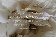Magich Elegant Serif Font, a Serif Font by Perfectype (Thumbnail 6 of 8)