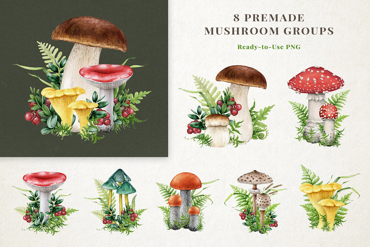 Forest Mushrooms Watercolor Clipart, a Decorative Illustration by AnitaPol (Photo 6 of 21)