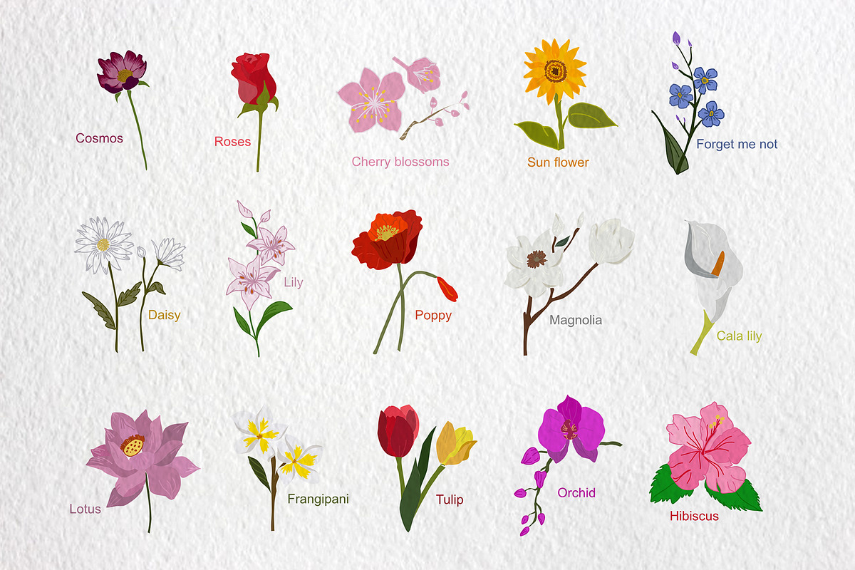 Flowers, an Illustration by AMMi (Photo 3 of 5)