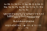 Relina - Elegant Decorative Serif, a Serif Font by Jimoji (Thumbnail 7 of 7)