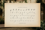 Westain Callis | Casual Handwritten, a Script Font by Denustudios (Thumbnail 12 of 12)