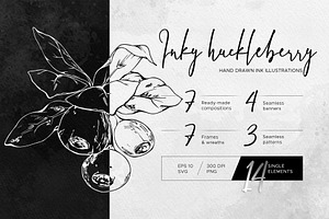 Inky huckleberry. Vector art
