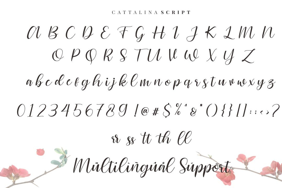 Cattalina - Beauty Font preview 6