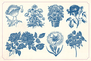Vintage Flower Illustrations, a Decorative Illustration by Mr Vintage (Thumbnail 2 of 13)