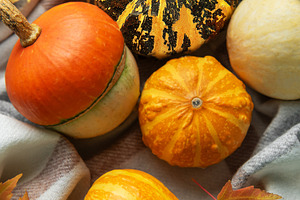 Assorted pumpkins gourds and autumn leaves on plaid blanket, a Holiday Photo by Olena Rudo