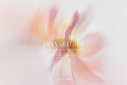 Organic Blurry Floral Backgrounds, a Background Graphic by Grace Noboa Illustrations (Thumbnail 2 of 13)