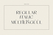SERMO - elegant serif font, a Serif Font by ToniStudio (Thumbnail 10 of 11)