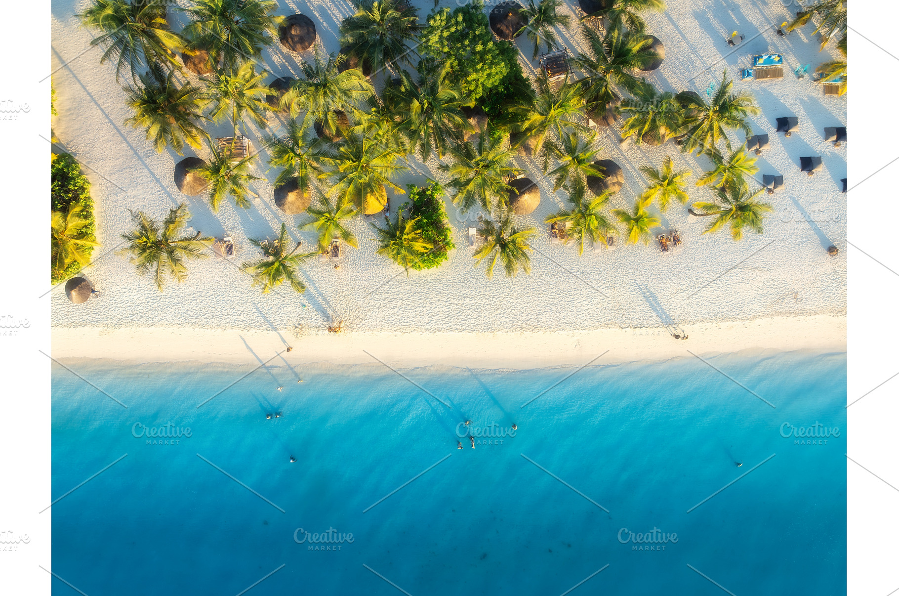 Aerial view of palms, umbrellas on, a Nature Photo by den-belitsky
