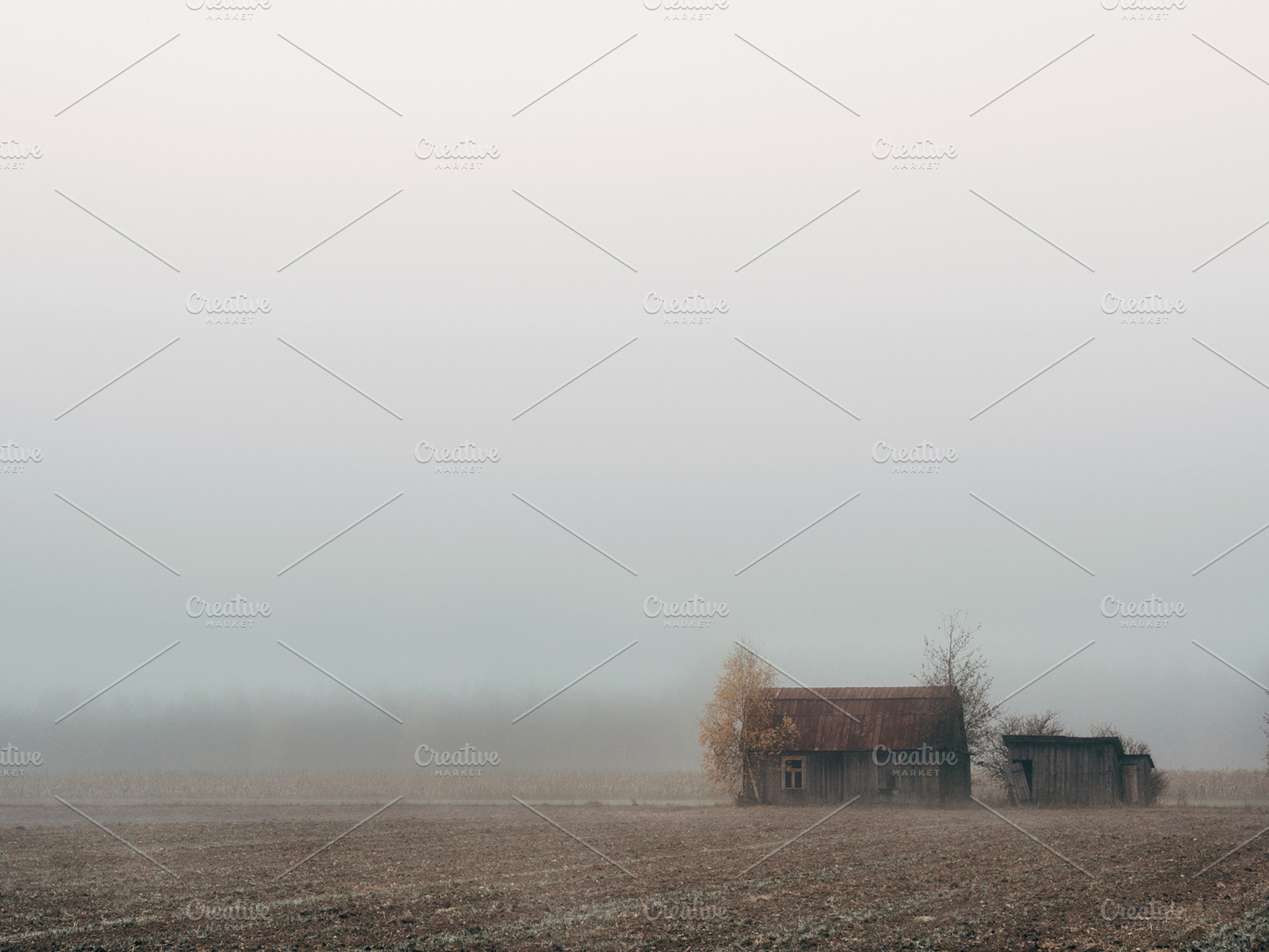 Foggy field stock photo containing farm and field, a Nature Photo by Pawel Kadysz