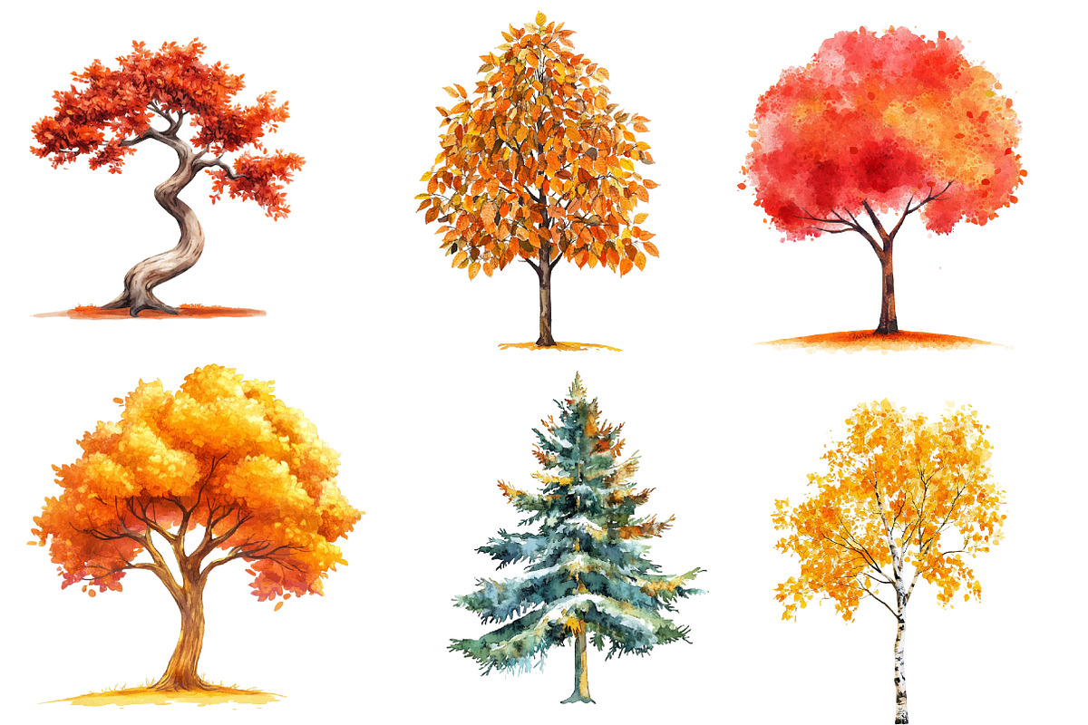 Autumn Trees Clipart, an Illustration by CreationArt (Photo 4 of 5)