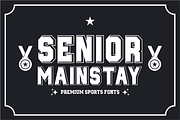 Championship Jersey – Slab Serif, a Slab Serif Font by KiddoGlyphs Studio (Thumbnail 2 of 6)