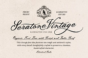 Seratone Vintage Wedding Script, a Script Font by Letterhend Studio (Thumbnail 1 of 10)