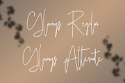 Ameriondela Luxury Classy Font, a Script Font by Maulana Creative (Thumbnail 4 of 11)