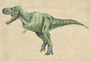 Dinosaurs Watercolor #1  Bundle, an Illustration by Doggy Days (Thumbnail 4 of 14)