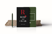 Troye Font Trio - Clean & Luxury, a Serif Font by Craft Supply Co. (Thumbnail 4 of 28)