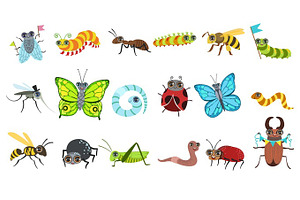 Insect Cartoon Images Set