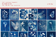 Red Embroidery&Cyanotype Collection, an Object Graphic by Hello Muse (Thumbnail 12 of 13)