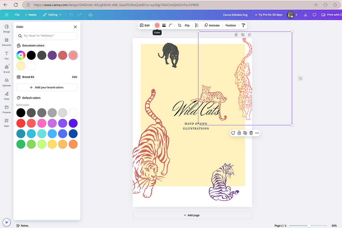 Jungle Cat Sketches, an Icon by Anastasiya Klempach (Photo 7 of 10)