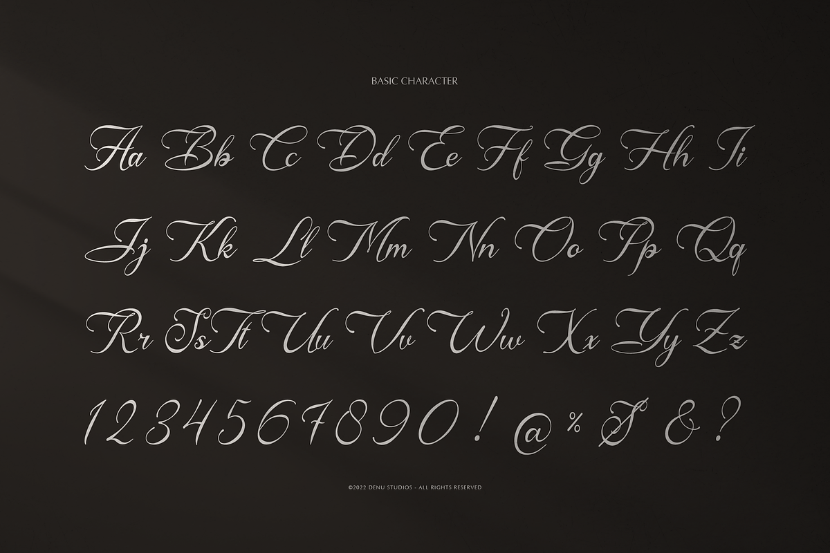 Anelyas | Modern Calligraphy, a Script Font by Denustudios (Photo 11 of 12)