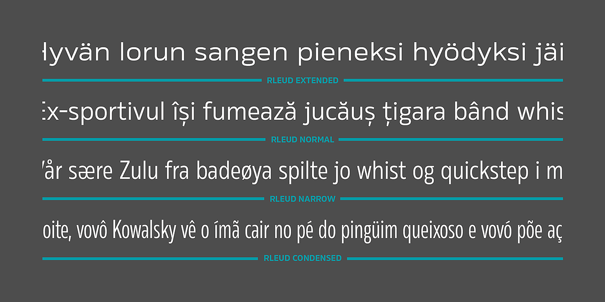 Rleud Extended, a Sans Serif Font by Stawix (Photo 4 of 12)