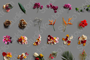 Ikebana Botanical Asset Collection, an Object Graphic by Studio Yorktown (Thumbnail 4 of 15)