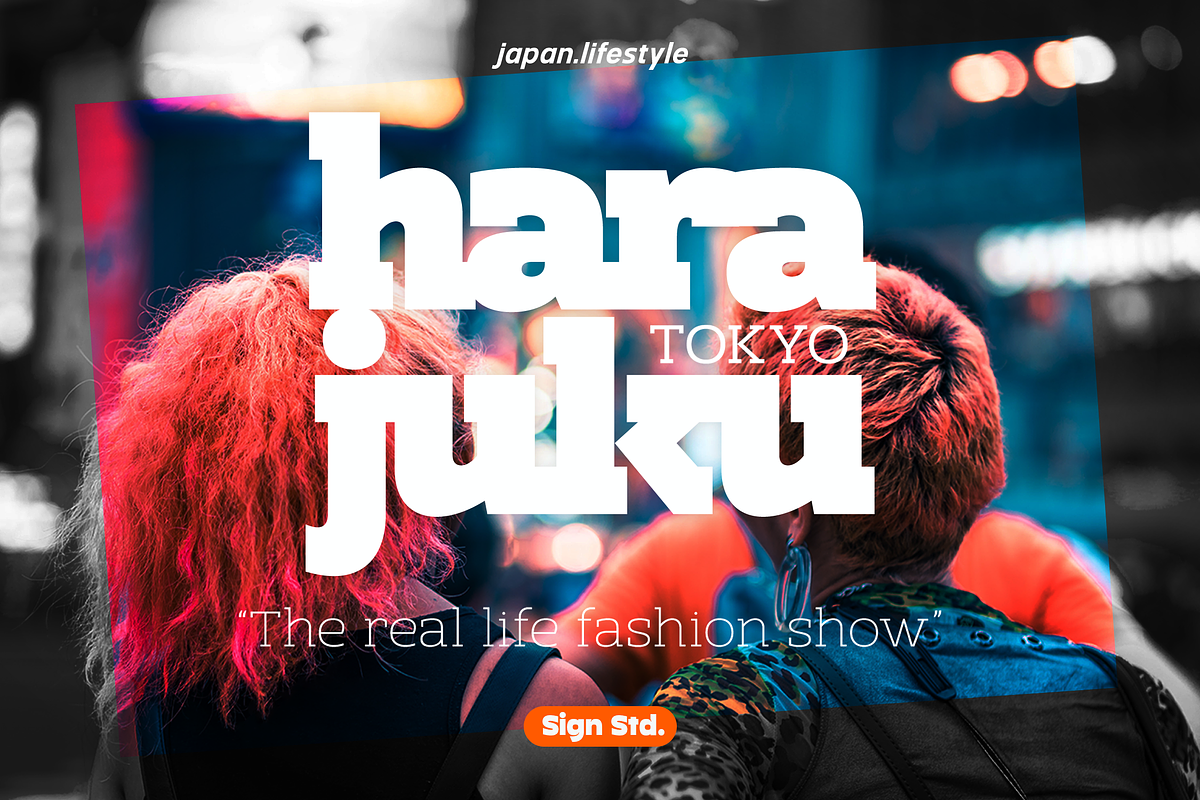 Netra Slab - Black Style, a Slab Serif Font by Sign Studio (Photo 2 of 9)