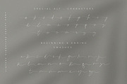 Arington | Vintage Signature Script, a Script Font by Pentagonistudio (Thumbnail 9 of 10)