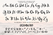 Stylish Alphabet, a Handwritten Font by FreshTypeINK (Thumbnail 5 of 8)