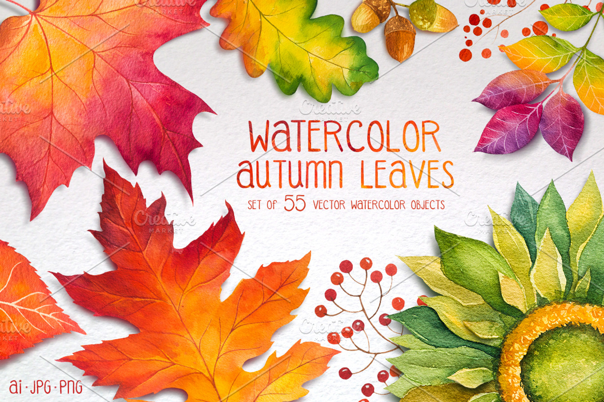 Autumn leaves. Watercolor set., a Decorative Illustration by AlexGreenArt (Photo 1 of 11)