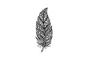 Ornamental Feather SVG Bundle, an Illustration by yasushie (Thumbnail 19 of 31)