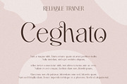 Belarost _ modern chic typeface, a Serif Font by Penatic Studio (Thumbnail 4 of 10)