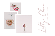 Ralline - Modern Script Font, a Script Font by Pen Culture (Thumbnail 2 of 10)