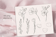 Peony procreate stamps, cliparts, a Brush Add-On by Veronika Gotovceva (Thumbnail 4 of 8)