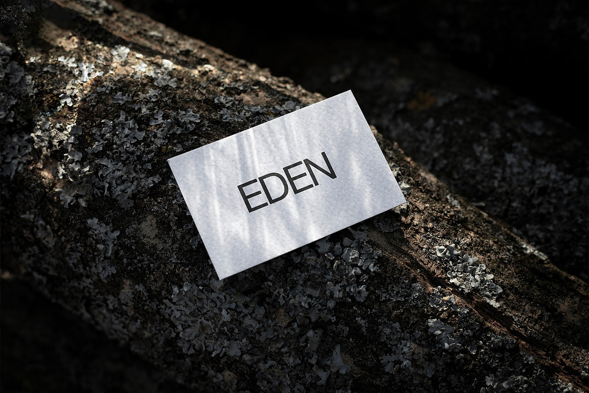 FORMAT EDEN BUSINESSCARD 07, a Product Mockup by Format Mockups (Photo 3 of 3)
