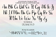 Thicky, a Handwritten Font by FreshTypeINK (Thumbnail 6 of 8)