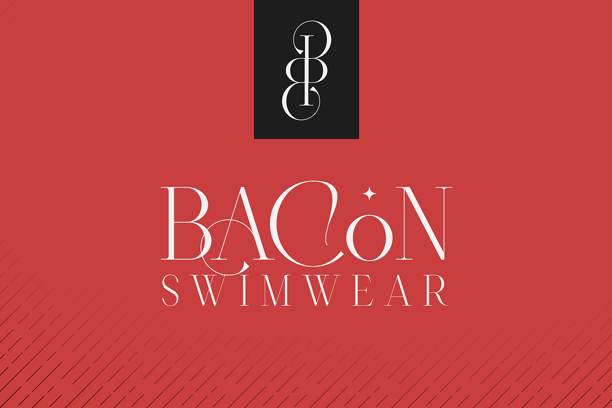 Type Monster - Elegant Font + Extras, a Serif Font by VP Fonts (Photo 2 of 15)