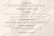 Astercla Modern Script Font, a Handwritten Font by Heinzel Std (Thumbnail 8 of 9)