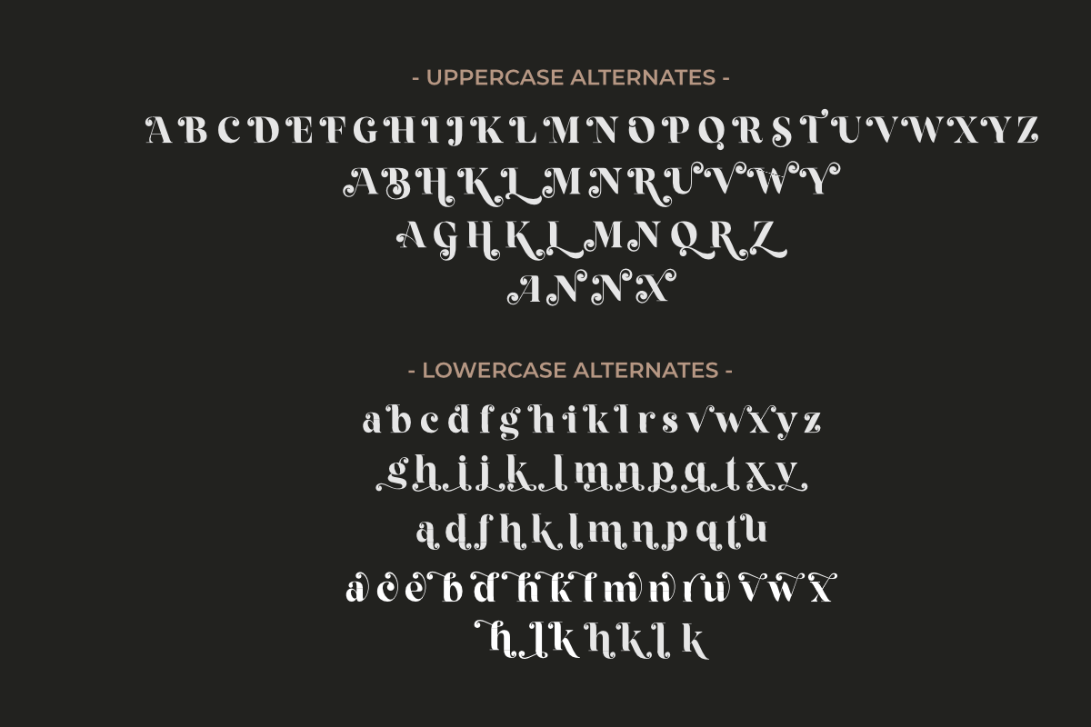 Fragille Modern Serif, a Serif Font by Silverdav (Photo 10 of 10)