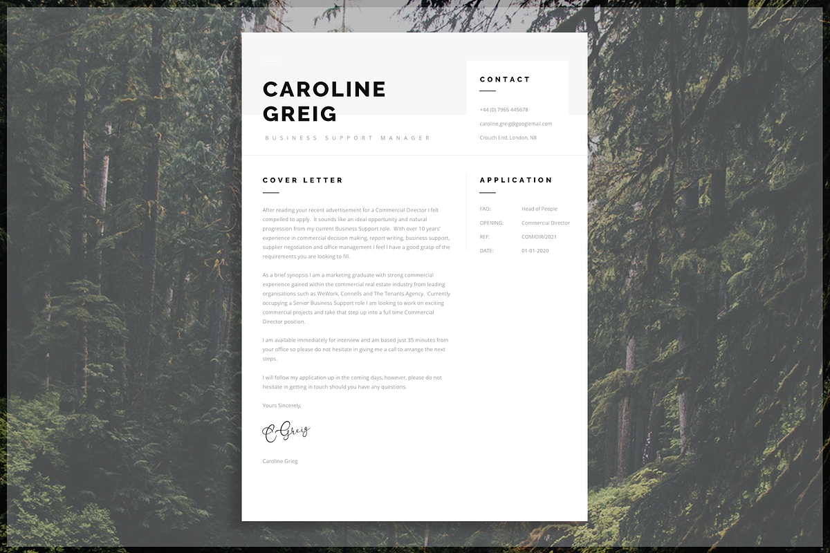 Professional Resume, a Resume Template by introDuice - CV / Resumes (Photo 3 of 6)