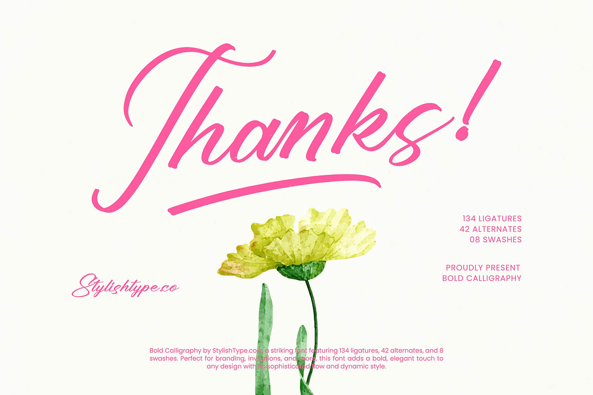Ayeshy Clanita Bold Calligraphy, a Script Font by stylishtype.co (Photo 20 of 20)