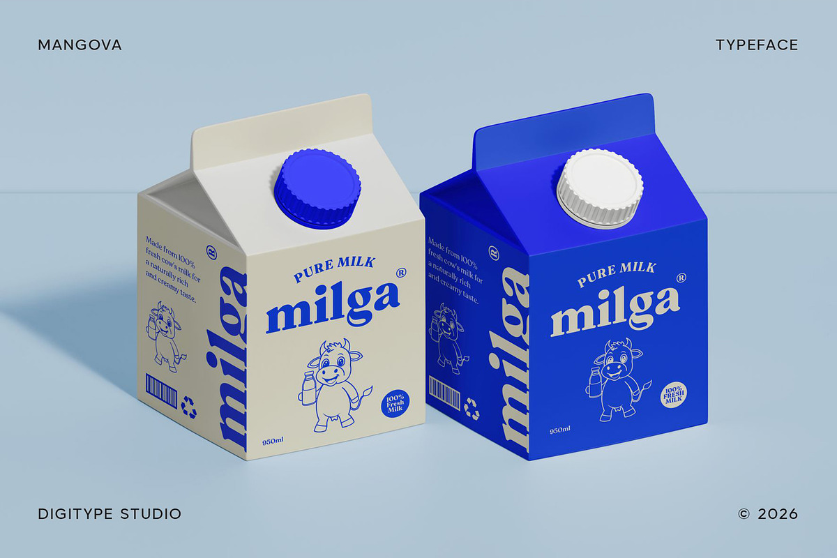 Mangova Font Family, a Serif Font by Digitype Studio (Photo 4 of 10)